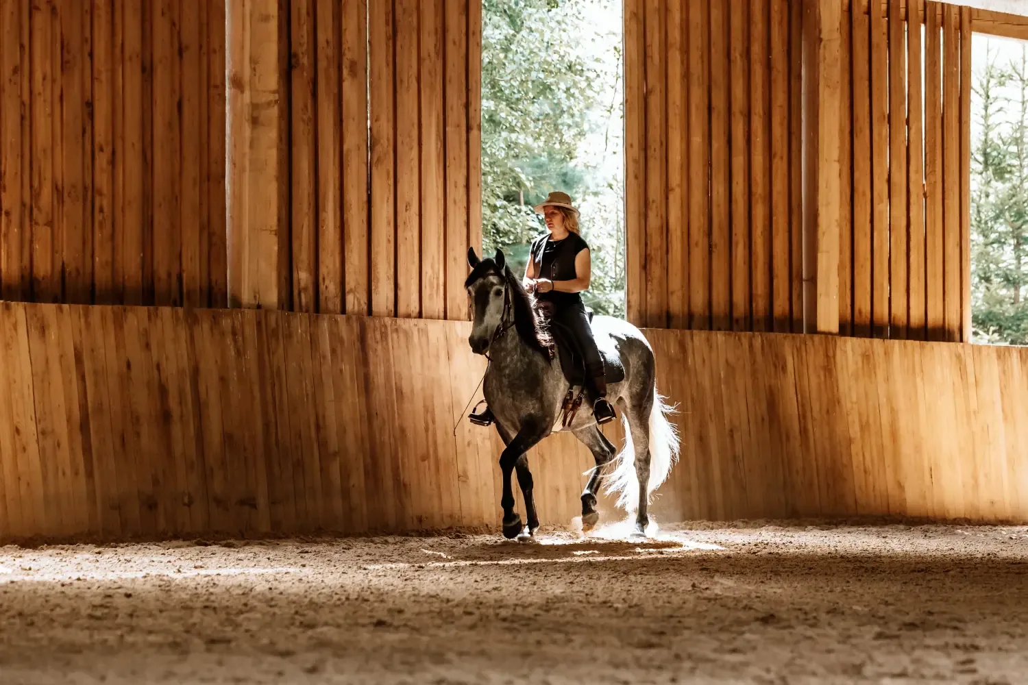 Franziska Bode reitet ihren Schimmel im gegenlichtdurchfluteten Holz-Reitplatz