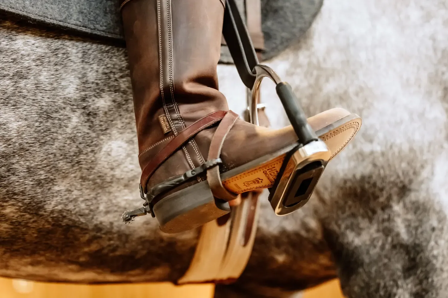 Detailaufnahme: Reitstiefel im Steigbügel auf einem Schimmel